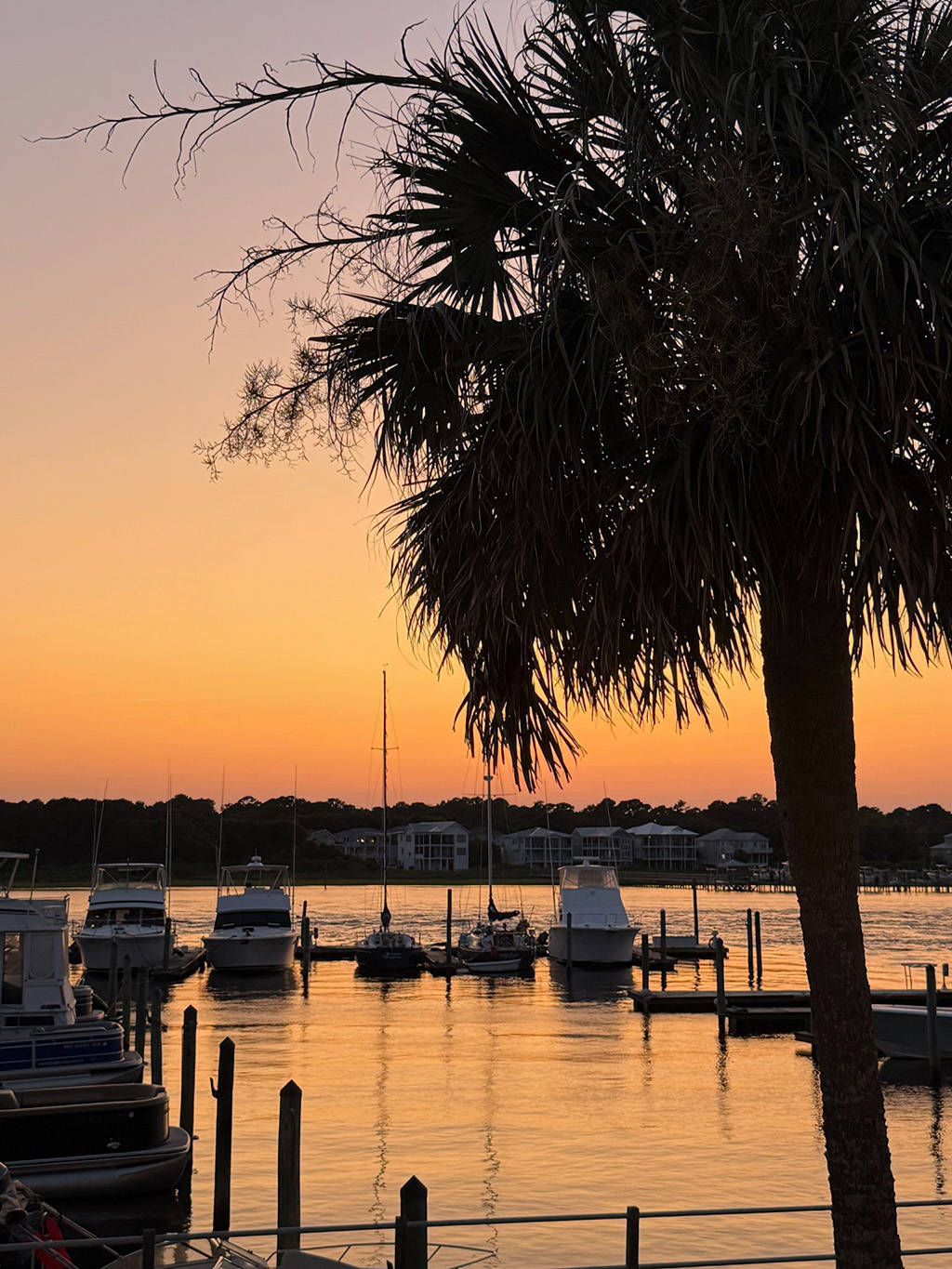 The view of the waterfront at Dr. Stacy's clinic